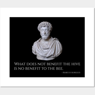 Caesar Marcus Aurelius Quote - Ancient Rome Stoic Philosophy Posters and Art